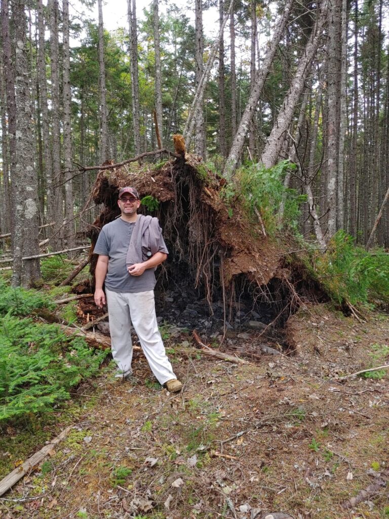 treedamage